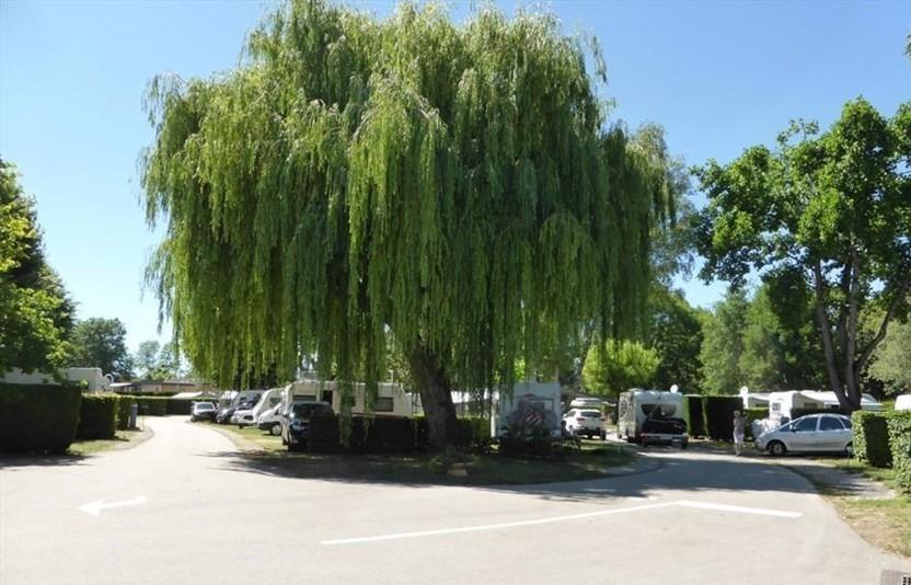 Camping Du Paquier Fane Chagny  Exterior foto